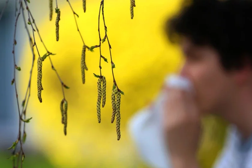 hay fever сезонны алергічны рынакан'юктывіт сенная ліхорадка